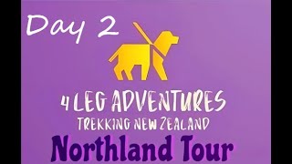 Northland Tour Day 2 Omapere to Houhora v 90 mile beach and Cape Reinga [upl. by Enitsua]