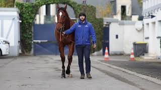 2024 Autumn Sale  Lot 335  gGOLFEUR GLENEAGLES x SASPARELLA [upl. by Carilla]