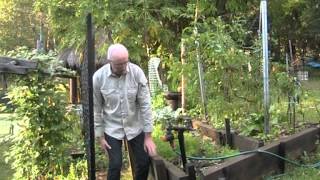 Organic garden design tips for sloping land [upl. by Stepha275]