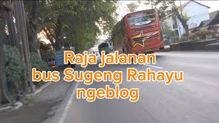 Sugeng Rahayu ngeblong di ruas jalan Pantura kendal Jawa Tengah bus automobile sugengrahayu [upl. by Hauck]