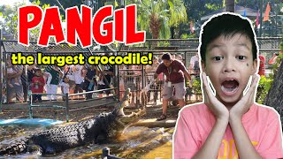 Exploring DAVAO CROCODILE 🐊 PARK AND ZOO FULL TOUR davaocity crocodile zoo pangil tour park [upl. by Teeter356]