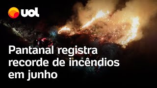 Pantanal registra recorde de incêndios em junho antes da estação seca [upl. by Rammaj]