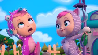 Crazy babies  Cry Babies  ALL the episodes  Cartoons for Kids in English [upl. by Yvonne]