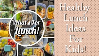 Healthy Packed lunch For Kids  Packed lunch Ideas  What I Gave My Children For The Week [upl. by Josee]