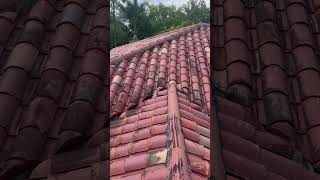 A lot of gutter to seal roofing top water shorts [upl. by Elletsirk243]