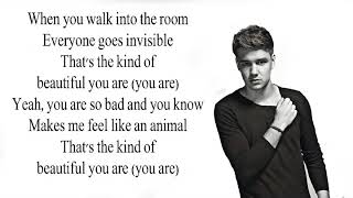 Liam Payne Kind Of Beautiful lyrics [upl. by Georgeanna205]