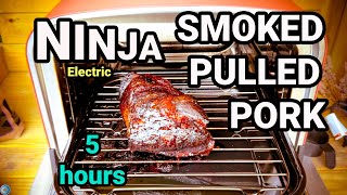 Smoking Pork With The NINJA WOODFIRE Oven First Time Attempt [upl. by Inger152]