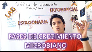 Gráfica y fases de crecimiento microbiano EN 4 MINUTOS [upl. by Naujet]