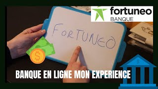 MON EXPERIENCE DE BANQUE EN LIGNE  FORTUNEO [upl. by Mclaurin]