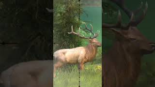 Deer 🦌🦌🦌 Hunting Clash trending huntingclash hunting shorts viral [upl. by Odille993]