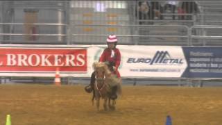 Reining quotCavalli a Romaquot 2014  Michela Panza su MINNY con score 715 [upl. by Sseb]