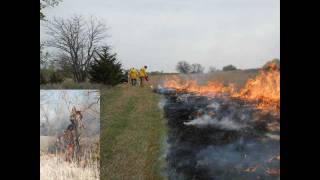 Prescribed Burn 1 Fireguards  Firebreaks 1 of 3 [upl. by Anwahsak]