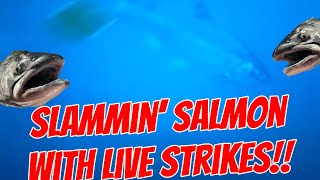 SLAMMIN SALMON With underwater footage and strikes fishing outdoors greatlakes [upl. by Yemrots]