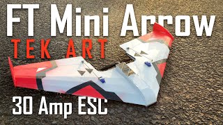 FT Mini Arrow  TEK ART Flights  Maiden Crash [upl. by Novaj]