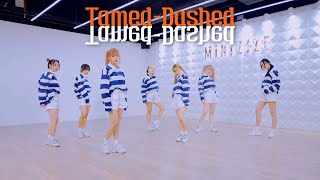 ENHYPEN 엔하이픈  TamedDashed  Dance Cover by ELASTIC [upl. by Ennaimaj]