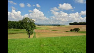 Kraichgau Von Siegelsbach die Krebsbachtalbahn entlang nach Neckarbischofsheim und zurück [upl. by Inalej391]