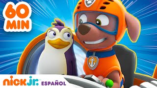 Paw Patrol  ¡1 HORA de grandes rescates animales  Nick Jr en Español [upl. by Barkley]