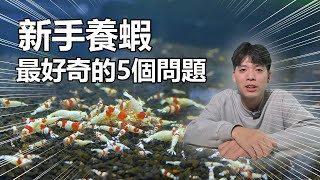 【攻略水晶蝦】水晶蝦飼養的五大迷思，破解它準能讓你成為養蝦高手 [upl. by Gaither]