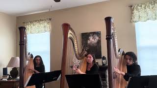 Léon Boëllmann Toccata from Suite Gothique arranged for harp trio [upl. by Anyt]