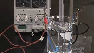 Electrolysis of Aqueous Solutions [upl. by Aizti]