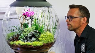 biOrb AIR 60  Full Step by Step Tutorial Terrarium Scape [upl. by Nevsa107]