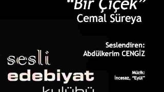 Bir Çiçek  Cemal Süreya [upl. by Welcher373]