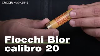 Fiocchi Bior calibro 20  Recensione e prova di rosata [upl. by Ellinger]