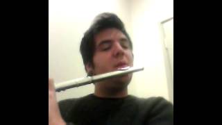 Fast chromatic on flute [upl. by Airetnahs252]