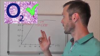 Was ist der Sauerstoffpartialdruck [upl. by Sinai]