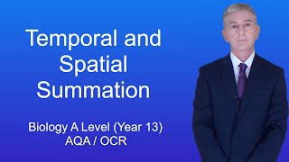 A Level Biology Revision Year 13 quotTemporal and Spatial Summationquot [upl. by Adlig]