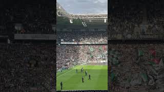 💚🤍🖤 Gladbach Heidenheim 19102024 Choreo Die Seele brennt 💚🤍🖤 [upl. by Ahnavas]