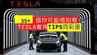 35個你可能唔知嘅Tesla實用TIPS同彩蛋 Model Y3 [upl. by Knepper937]