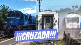 TREMENDA CRUZADA de trenes de LARGA DISTANCIA en BRANDSEN  trains argentina [upl. by Baram]