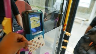 Learn How to Use EZ Link Card in Singapore Bus  Public Transportation in Singapore Buses [upl. by Henrique]