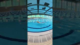 Easy and relaxed freestyle swimming swimming [upl. by Vookles]