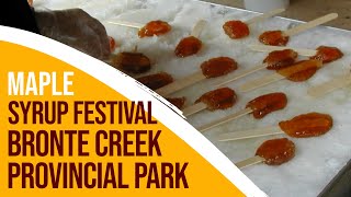 2024 Maple Syrup Festival at Bronte Creek Provincial Park 🍁 Taffy History amp Pancakes [upl. by Ahsakal]