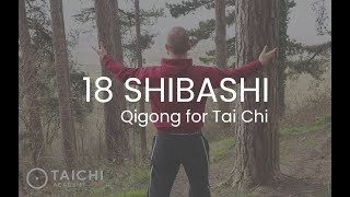 18 Shibashi Qigong Demonstration in the Forest  For health amp internal training [upl. by Hameean]