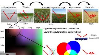 AGRICULTURAL FIELDS MONITORING WITH MULTI TEMPORAL POLARIMETRIC SAR CHANGE DETECTION [upl. by Imer140]