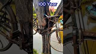 The worlds oldest bicycle is in a tree😱 [upl. by Noe559]