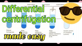 Differential Centrifugation Made easy😎🔥 [upl. by Yanehc]