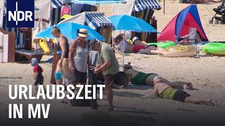 Die Urlaubsmacher im Stress  Die Nordreportage  NDR Doku [upl. by Aicatsanna]