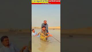 इन मछुआरों को मिला एक किमी जलपड़ी 😱 shortvideo factsvideo subscribe [upl. by Iba]