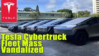 Tesla Cybertruck Fleet Mass Vandalized [upl. by Mello]