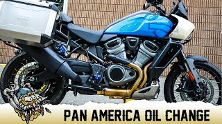 Harley Pan America Oil Change  DeadbeatCustomscom [upl. by Papotto]