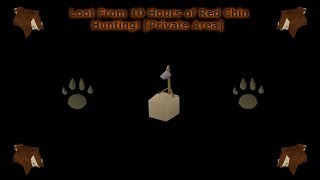 Loot From Red Chin Hunting Private Area for 10 Hours [upl. by Rats506]