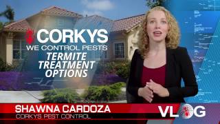 Different Kinds of Termite Treatments [upl. by Herbie268]