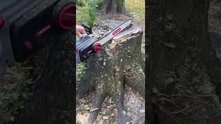 Oregon Electric Chainsaw review [upl. by Sidwel]