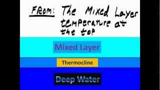 Thermocline [upl. by Feer346]