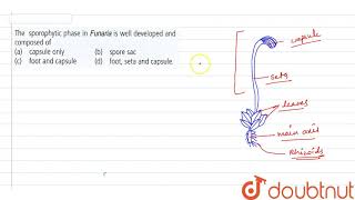 The sporophytic phase in funaria is well developed and composed of [upl. by Asuncion563]