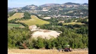 aratura in collina 2013 con fiatagri 9555 e fiat 565c [upl. by Sikleb]